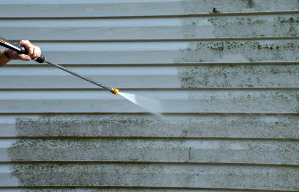 Best Attic Mold Removal  in On Top Of The World Designated Place, FL